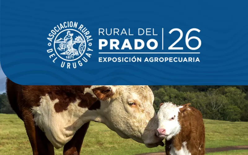 Espectáculos